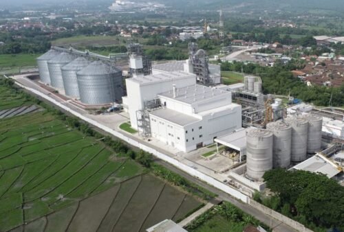 Perbedaan Mengurus SLF Sendiri vs Menggunakan Konsultan SLF