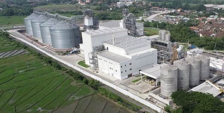 Perbedaan Mengurus SLF Sendiri vs Menggunakan Konsultan SLF