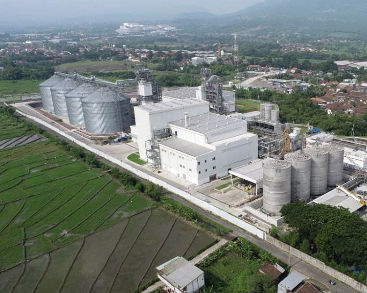 Perbedaan Mengurus SLF Sendiri vs Menggunakan Konsultan SLF